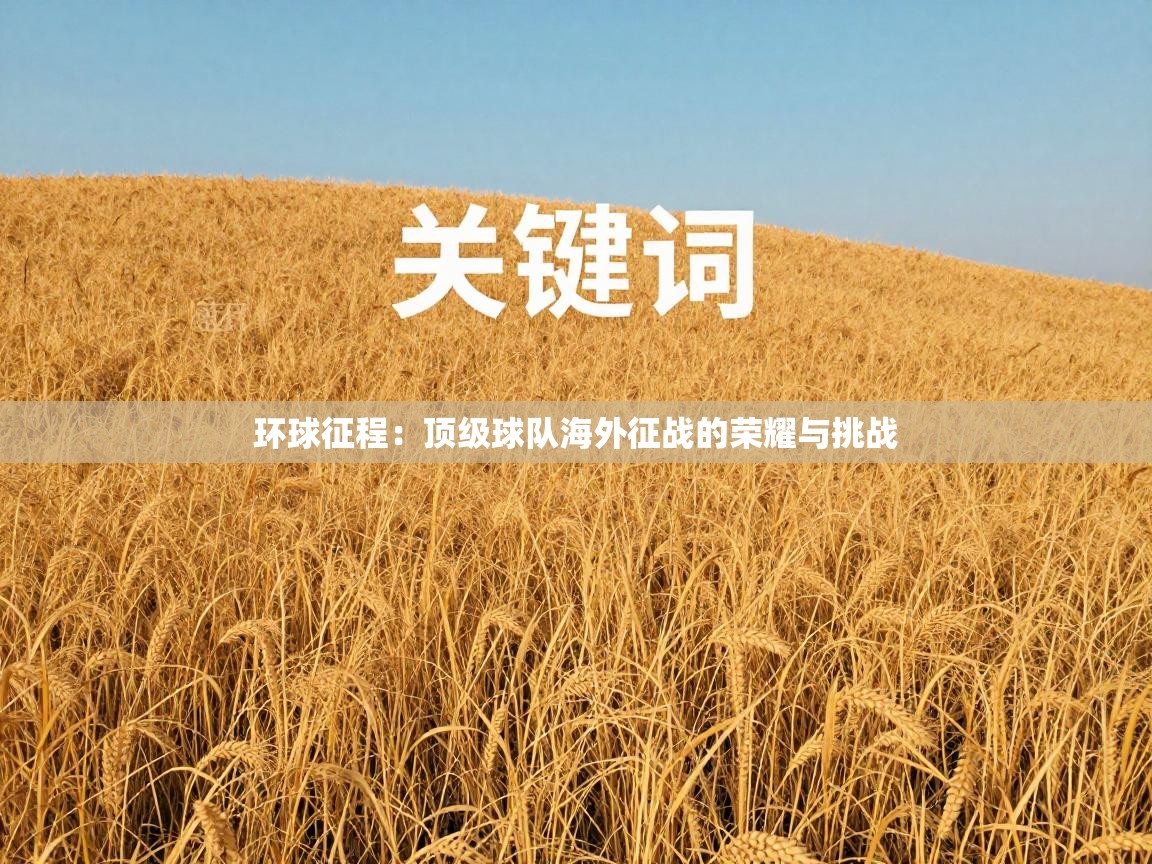 环球征程:顶级球队海外征战的荣耀与挑战 第1张