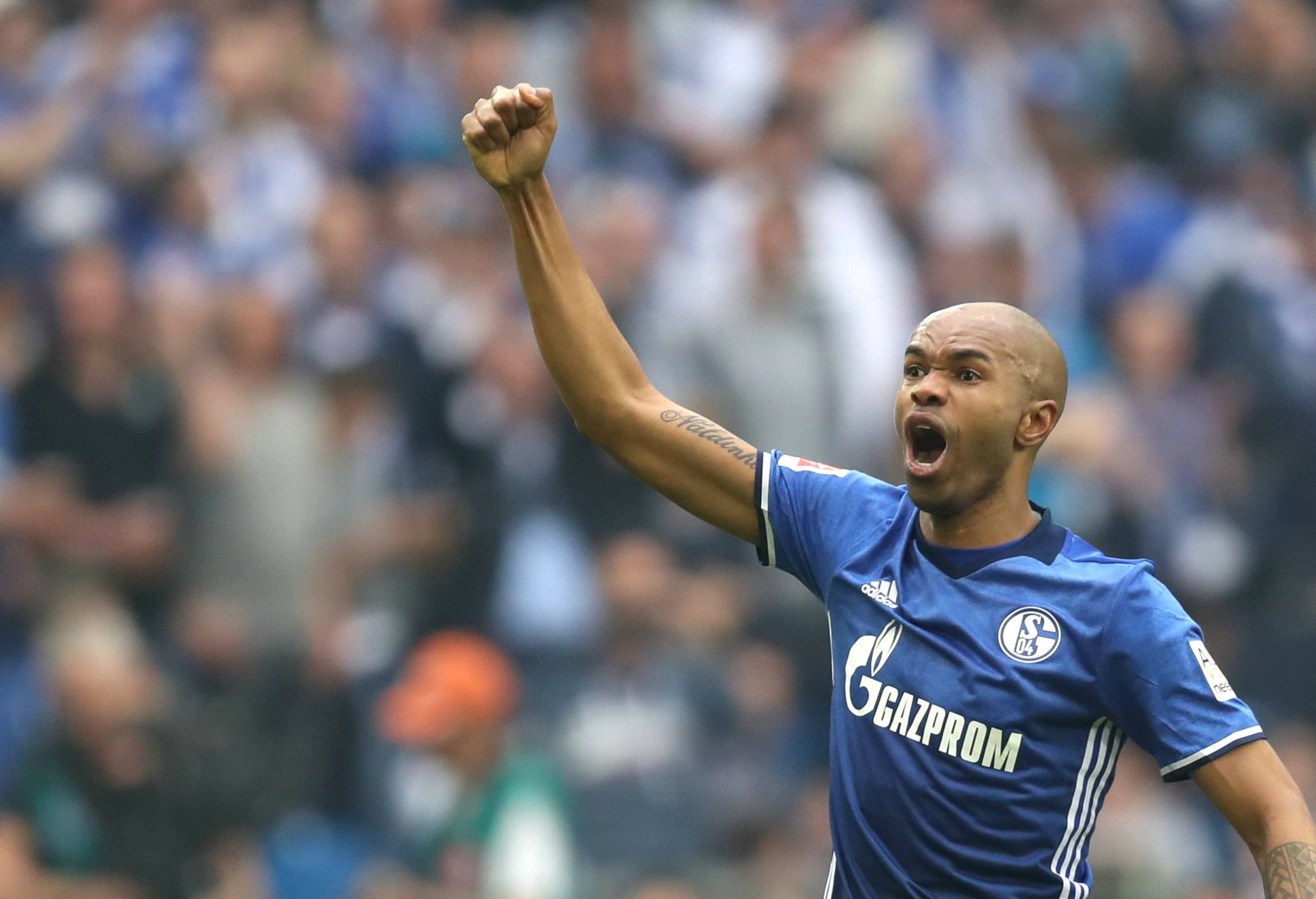 关于汉堡遭遇惨败！沙尔克04击败对手取得胜利的信息